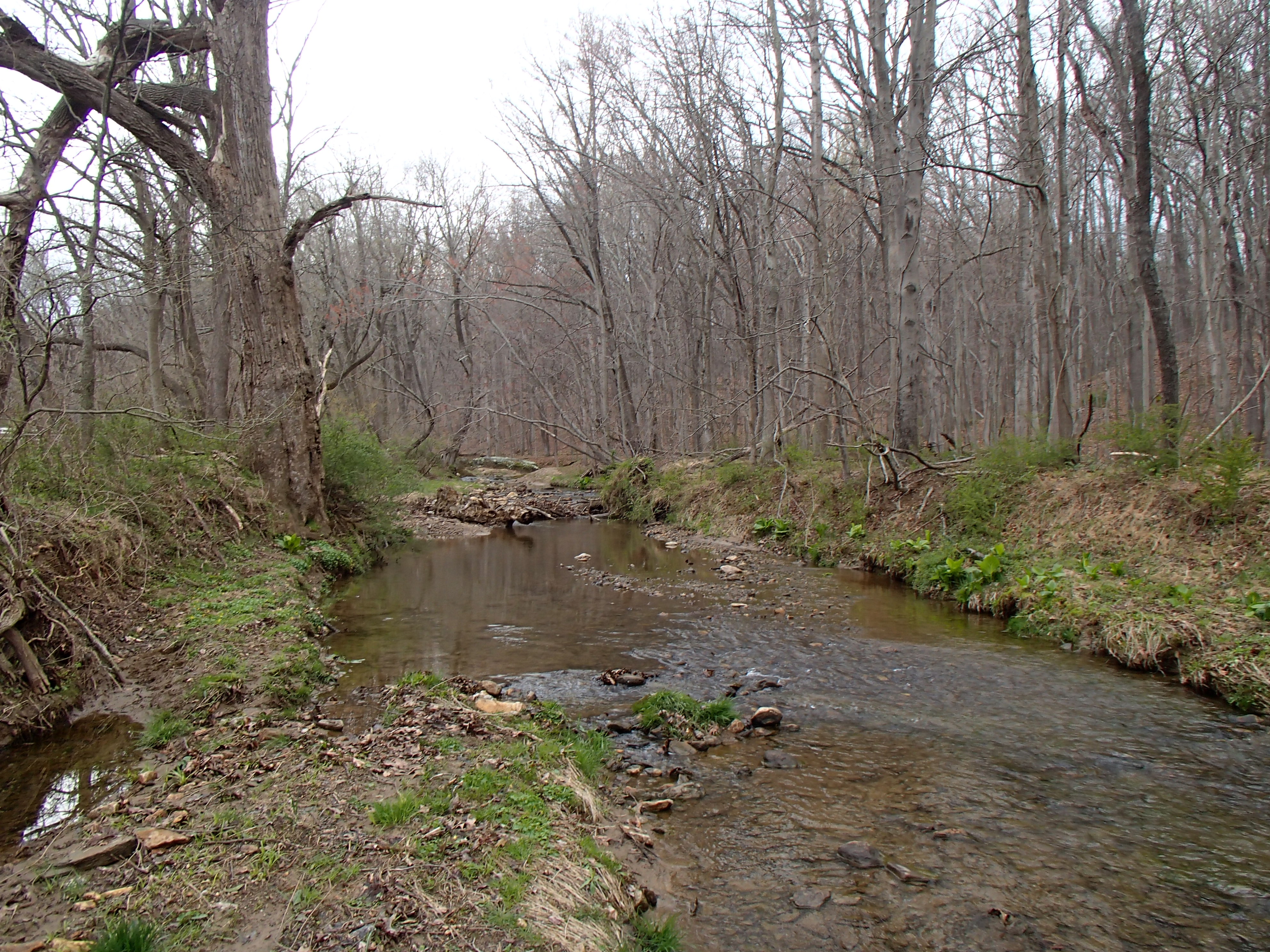 Field photo showing stream conditions at site LOCH-202-R-2016_midpoint looking upstream